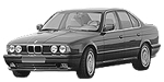 BMW E34 B255A Fault Code